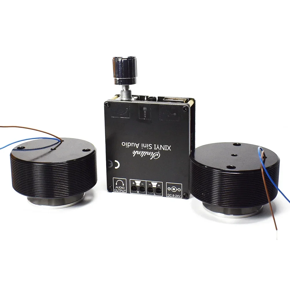1 Set 50W 2.0 HIFI Vibration S - огляд і ціна Home Cinema Ampli