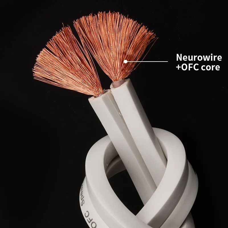 YYTCG DIY Loud Speaker Cable H - огляд і ціна Home Cinema Player