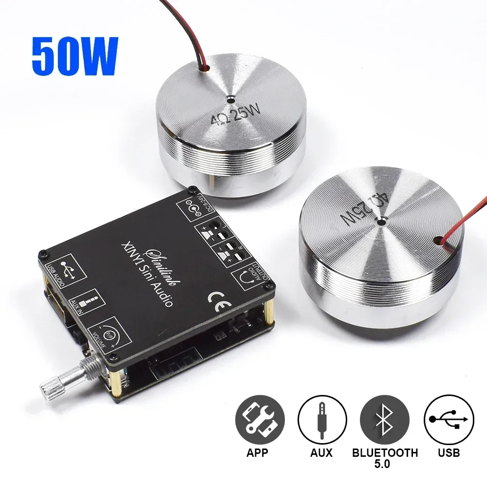 2*25W Portable Stereo Vibratio - огляд і ціна Home Cinema Ampli